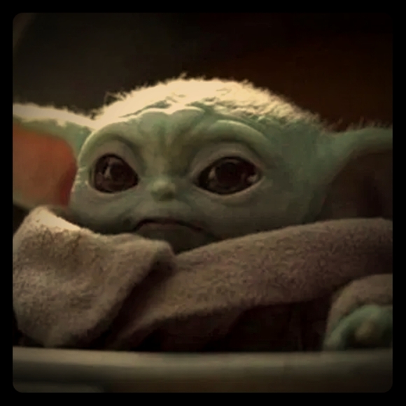 Meet your Posher, MDK2019 - Picture 1 of 1